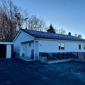 https://your-dream-studio-in.hotelsinbergen.net