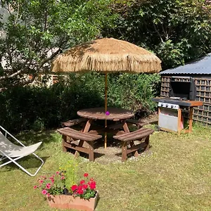 book here